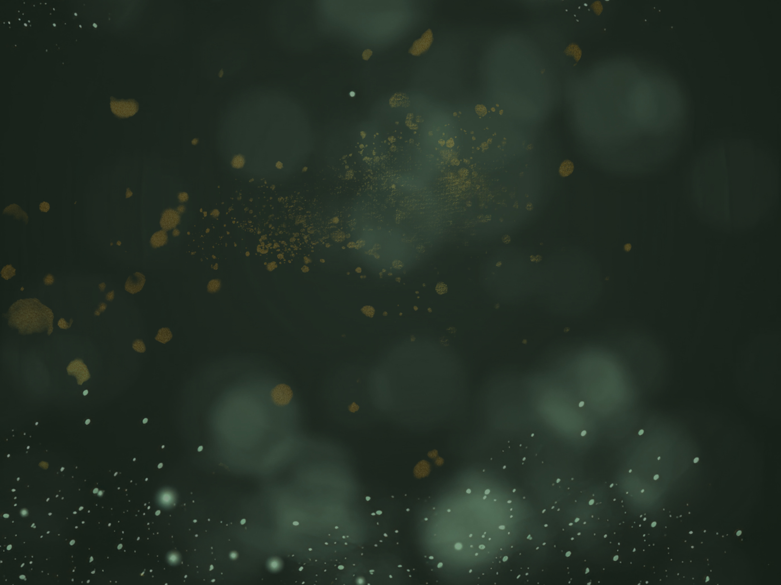 LRS-2026background